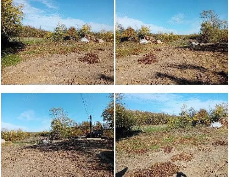 Cota de 1/4 dinteren extravilan- com. Buzoesti, jud. Arges - 1