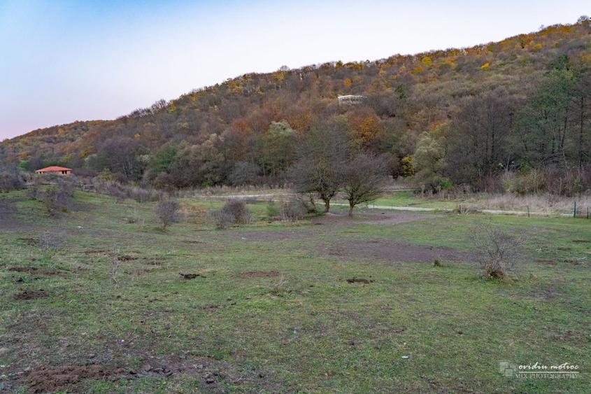 Teren investitii Valea Garbaului, CF+CU - 1