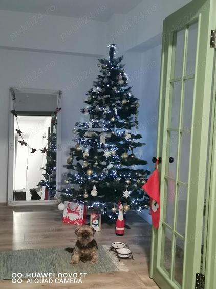 Vand apartament 3 camere ultracentral M uri Alba Iulia - 4