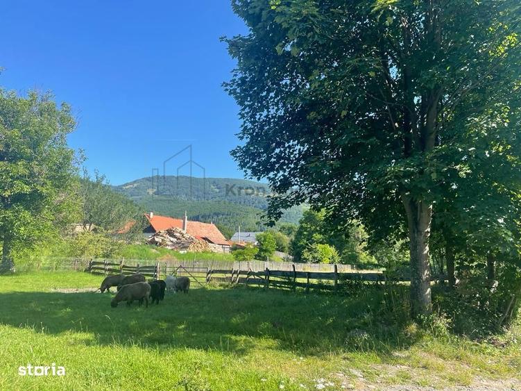 Teren Moieciu de Jos - 8