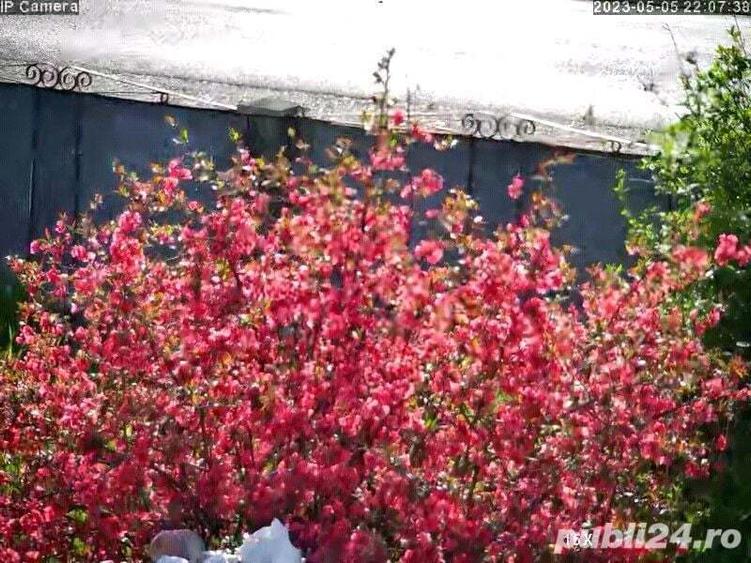 Vand casa renovata,anexe ,3000m2 in Recea Cristur - 10