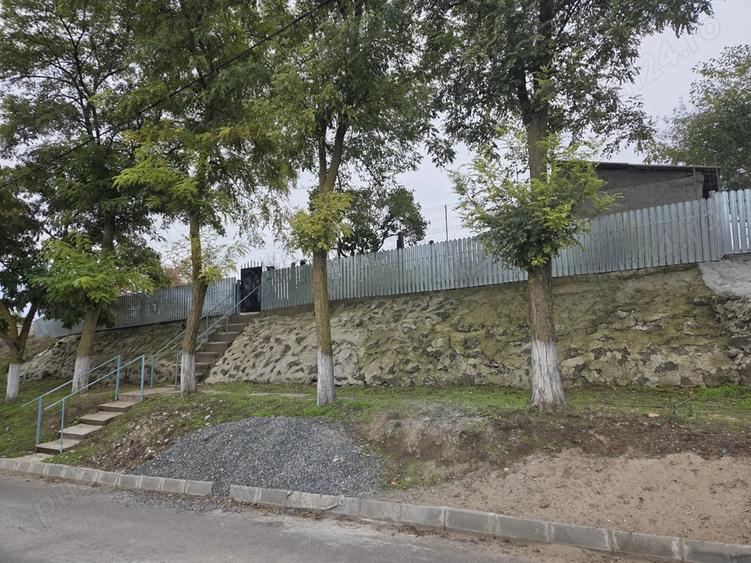 casa cu teren 3000 mp de vanzare Mahmudia - 3