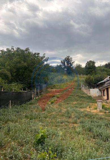 Teren de vanzare in Breasta - 2