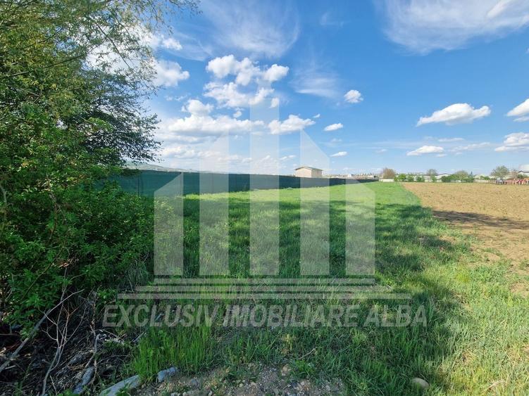 Teren extravilan | De vanzare | 2600 mp | 13.7 ml deschidere | Partos - 3