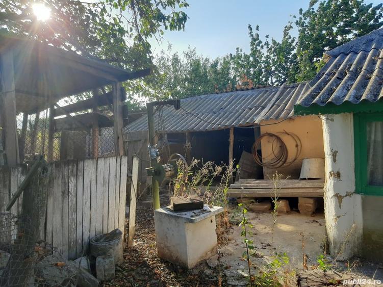 Casa cu teren intravilan Enisala 3590 mp - 4