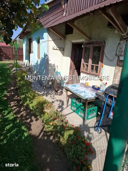 Gospodarie de vanzare Bro?teni | 14 km de Pite?ti | Teren 596 mp. - 9