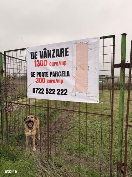 Teren 1300mp de vanzare in Straule?ti - 3