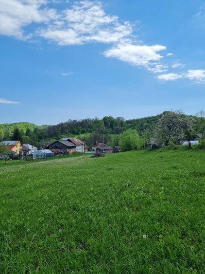 Teren intravilan de vanzare - 1