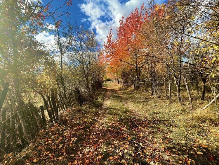 Teren Premium 1559 mp, Brebu Manastirei Refugiu Montan la 120 km de Bucuresti, - 3