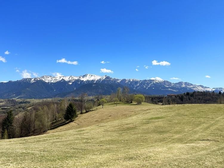 Teren 1550 mp, sat Pestera, zona Bran-Moieciu, jud. Brasov - 6