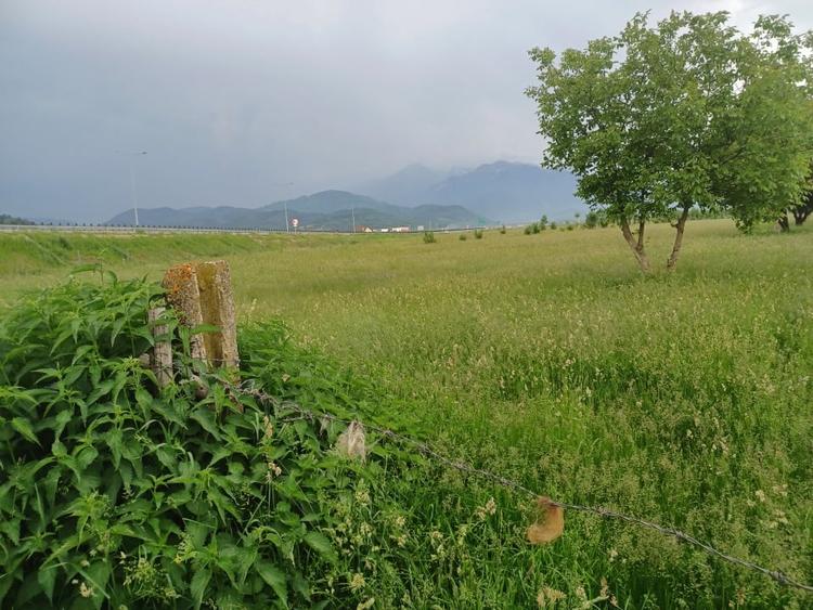 Teren intravilan Rasnov - 7