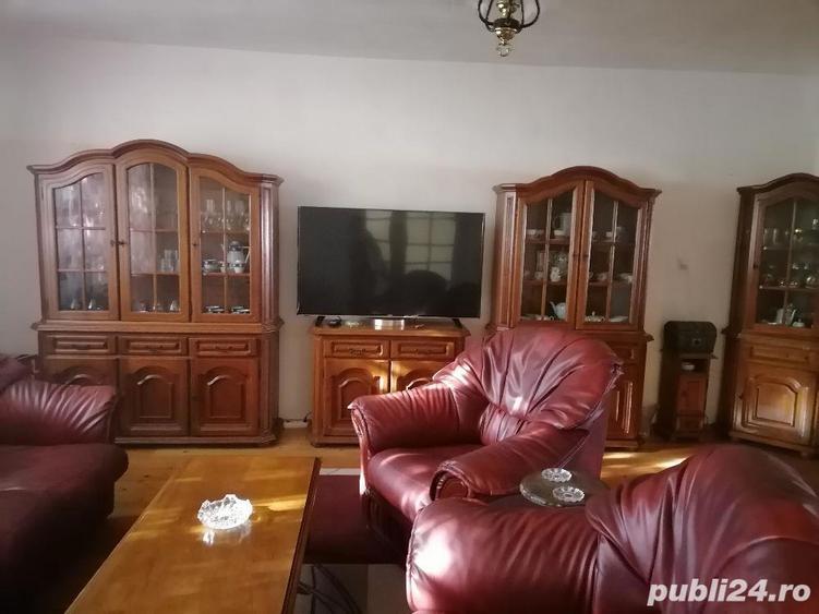 Vand vila in Deta - 3