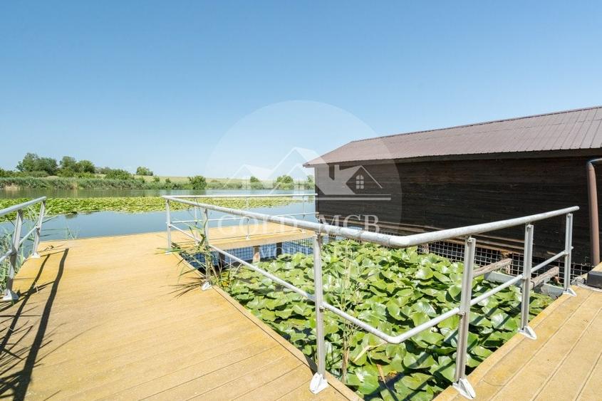 Vila cu piscina pe malul lacului-Snagov -Ciofliceni - 4