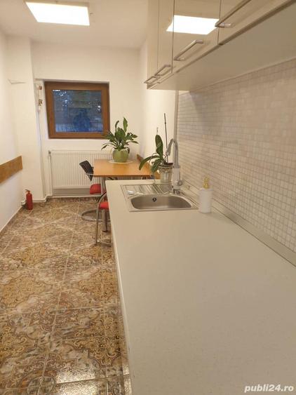 Spatiu de birou, demisol, vila, Parcul Carol Unirii, cu gradina - 7