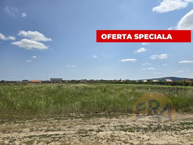 Teren intravilan | Dublu Front | 750mp | Cheriu - 1