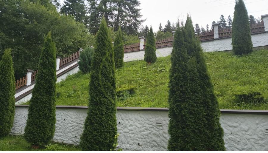 Apartament cu 3 camere decomandat, mobilat în Forestier