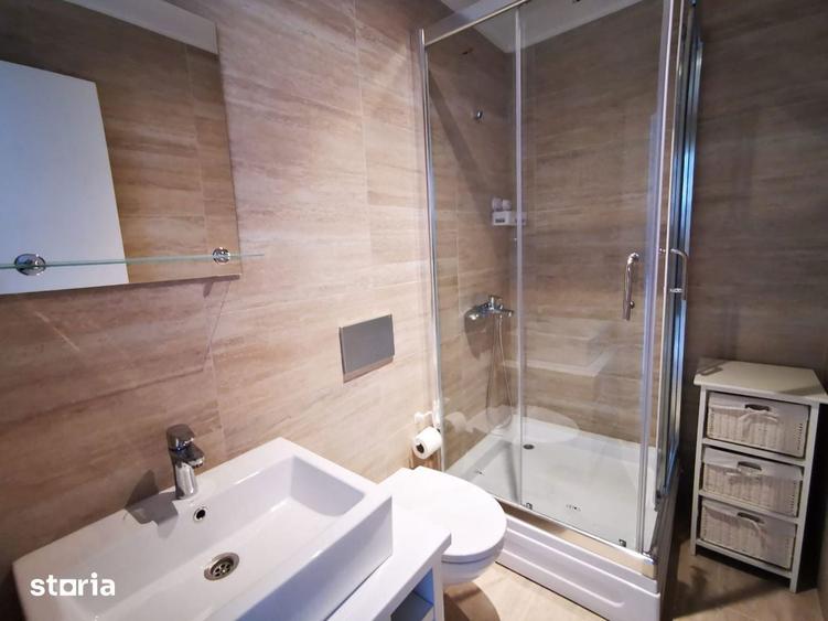 Apartament tip studio de inchiriat in Cosmopolis - 4