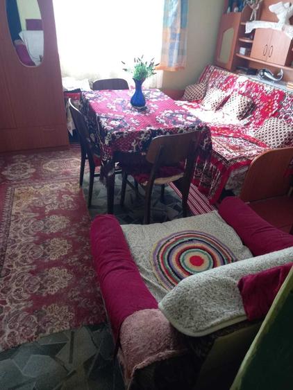 Casă cu 3 camere în Priboieni