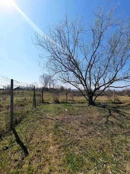 Teren de vanzare: situat pe Calea Craiovei catre Bistrita cu o suprafata de 5000 mp - 5