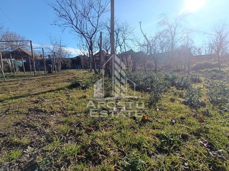 Casa individuala cu teren generos 2158mp, front 12m, liva... - 7