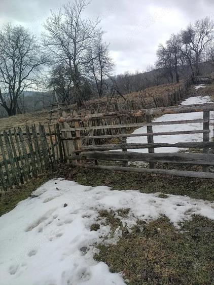 Teren de 1200 mp, în Teșila