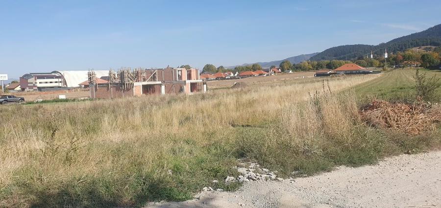 Teren Construcții intravilan de 2600 mp, în Baciu