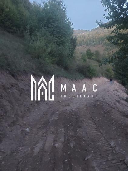 Super ofertă 35000 teren in Muntii Apuseni - 10