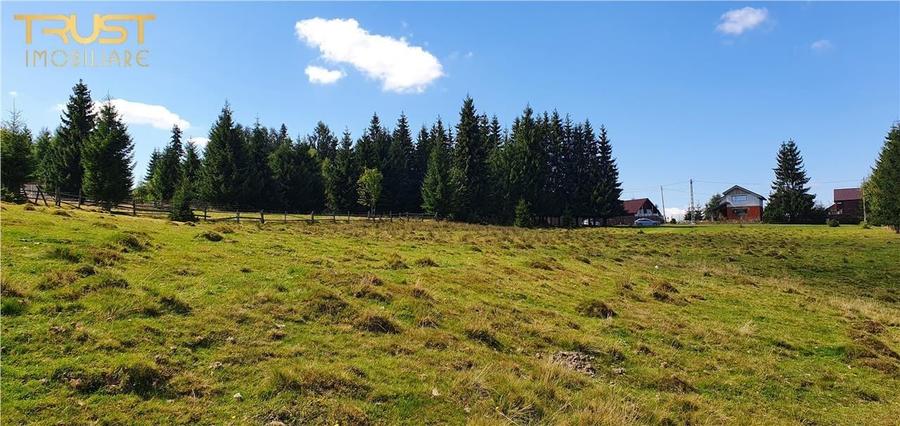 Oportunitare | Teren 1ha cu PUZ | Belis - 9