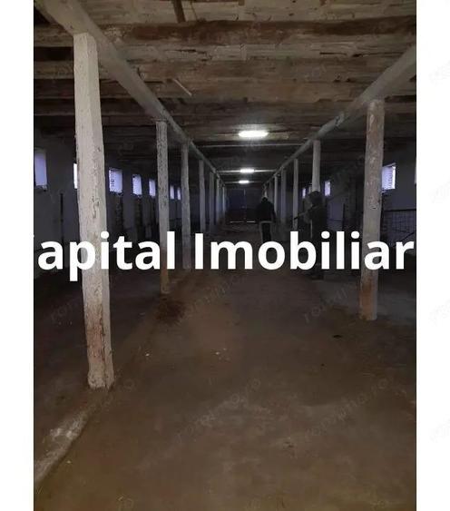 Ferma langa Oravita 5600 mp construiti si teren 24281 intravilan - 6