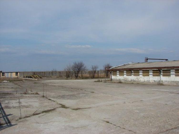 Hala pt depozitare 600 si 1200mp in Remetea Mare! Acces TIR - la sosea - 10