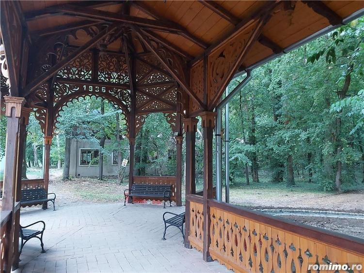 Vand casa Buzias Parc 286 mp - 9