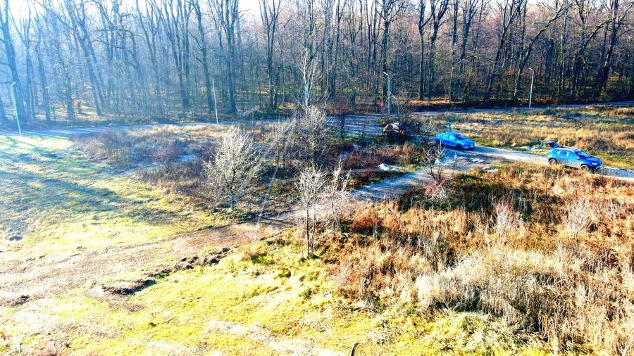 Teren intravilan, 2 fronturi, Drumul Padurea Pustnicu 65 - Greenfield - 21