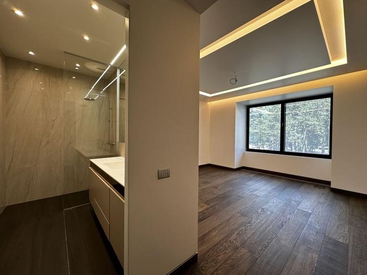 Penthouse Spatios si Rafinat pe Bulevardul Kiseleff - 11