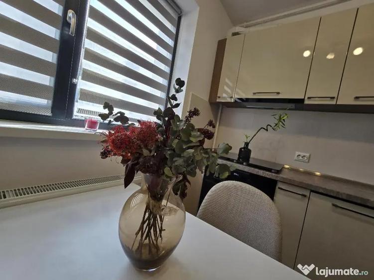 Inchiriez apartament 2 camere Hils Pallady - 5