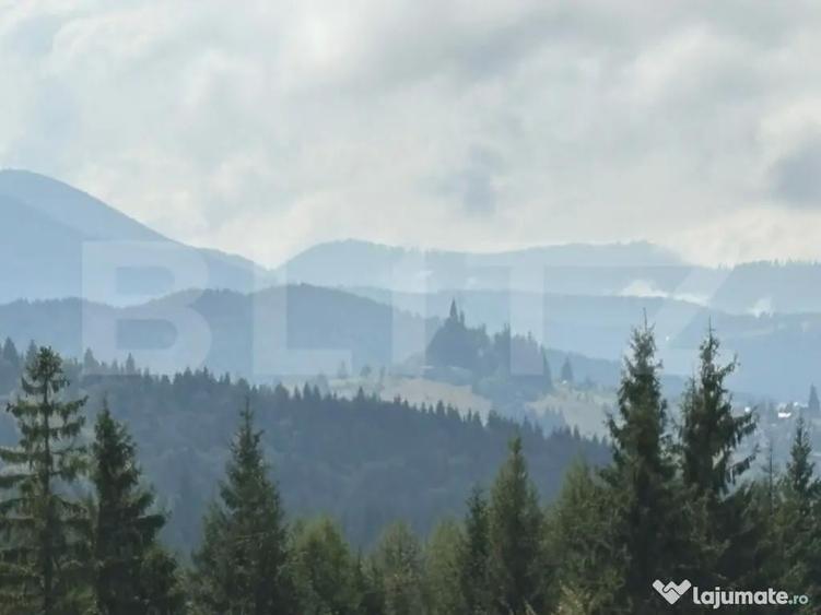 Vanzare teren intravilan de 2 hectare, in Pasul Tihu?a - 10