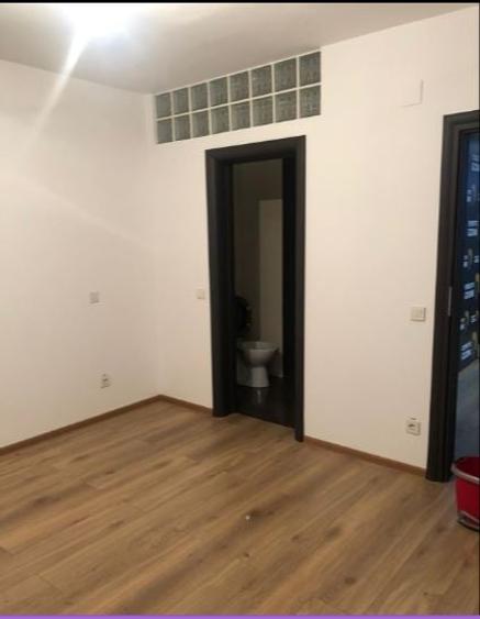 Decebal/Matei Basarab , duplex (parter + demisol) ,200 mp –  stradal - 3