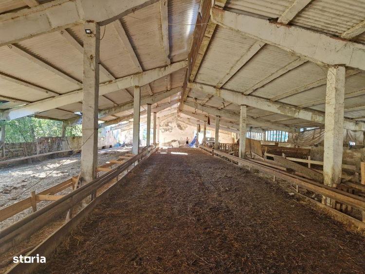 Hala din beton + teren 2.596 mp Jichisu de Jos - 4
