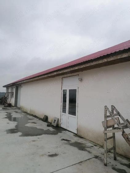 Spa?iu de inchiriere - 1