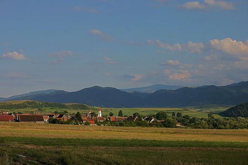 Teren intravilan 2.900 mp – oportunitate de investiție, acces direct la DJ 106D - 10