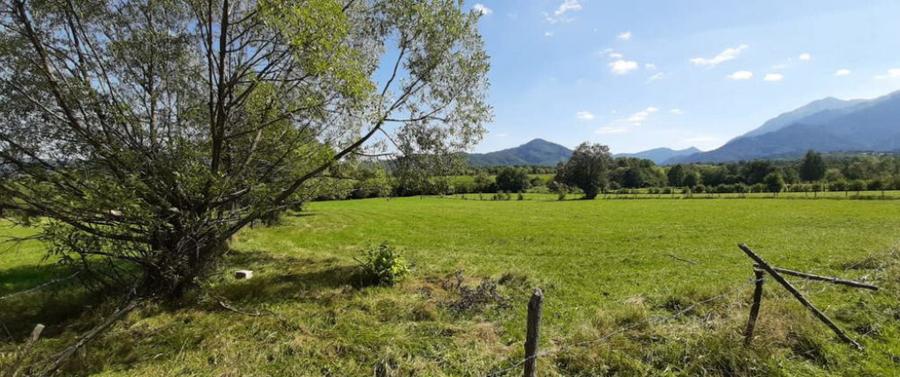 Teren 9350 mp Bran Livada, Extravilan - 1