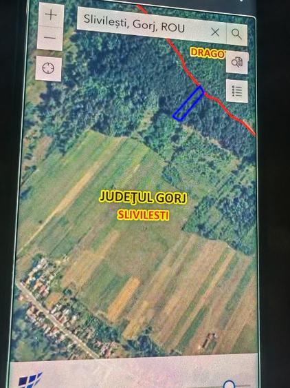 Vând teren extravilan(pădure) - 2