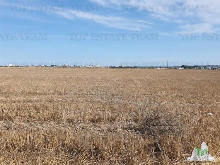 Teren Techirghiol - 5