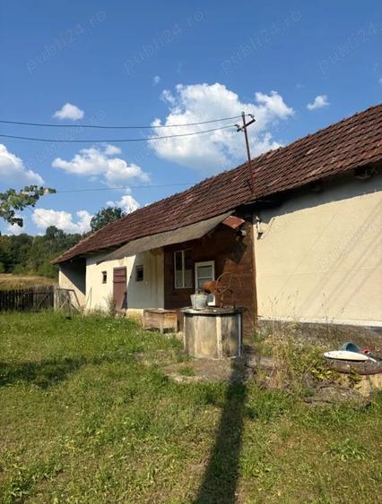 Casa cu teren generos 3000 mp- Grosi, Bihor - 6