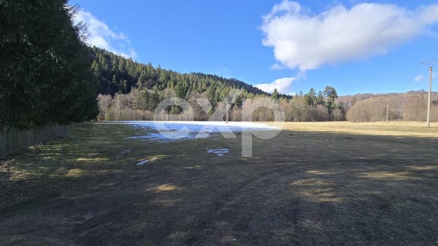 Teren extravilan 19.200 mp – DN1A Săcele, Brădet | Front stradal 130 ml - 4