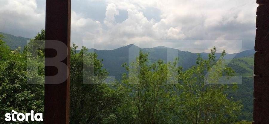 Cabana din lemn masiv, 100 mp utili, teren 3000 mp, Somesu Rece - 8