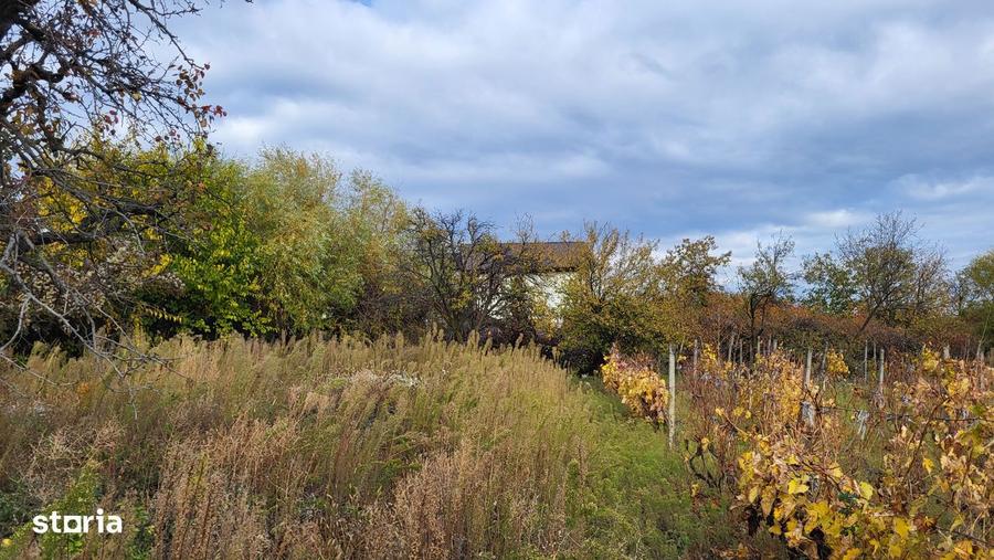 Casa de vanzare, 4 camere, teren 3200mp - 7