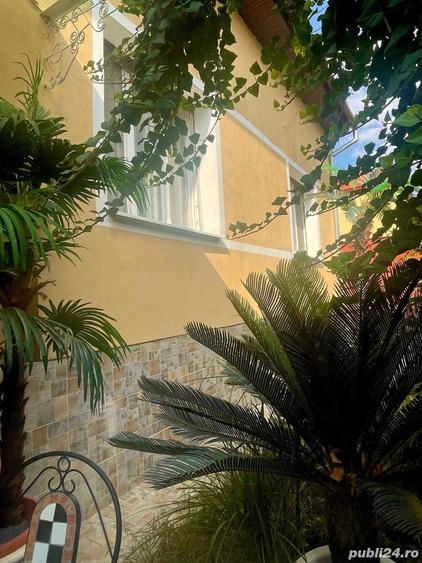 Casa individuala Musicescu. Timisoara - 10