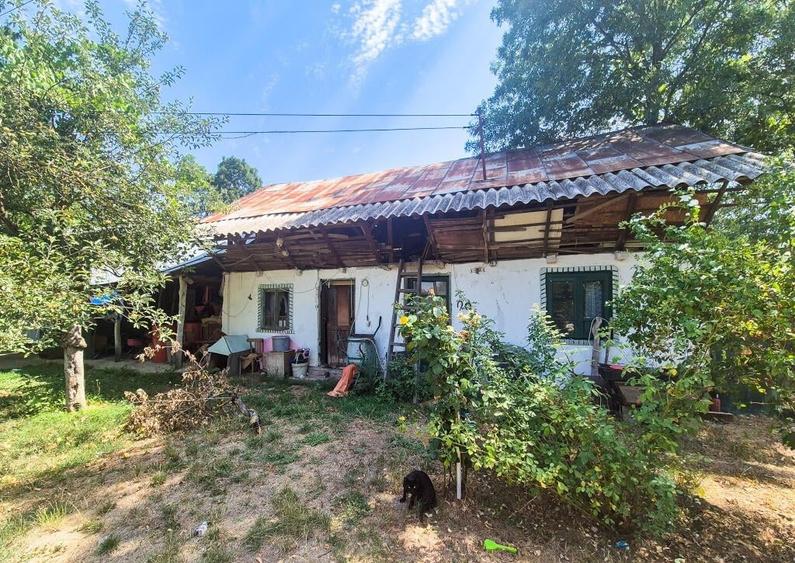 Casa , teren intravilan Urlueni Barla Arges - 18
