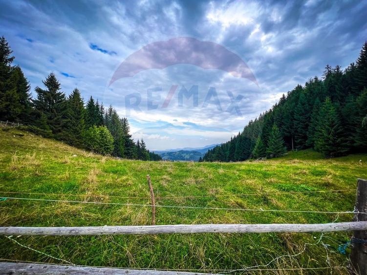 Teren de 7830mp de vanzare in Fundata! Comision 0% - 18