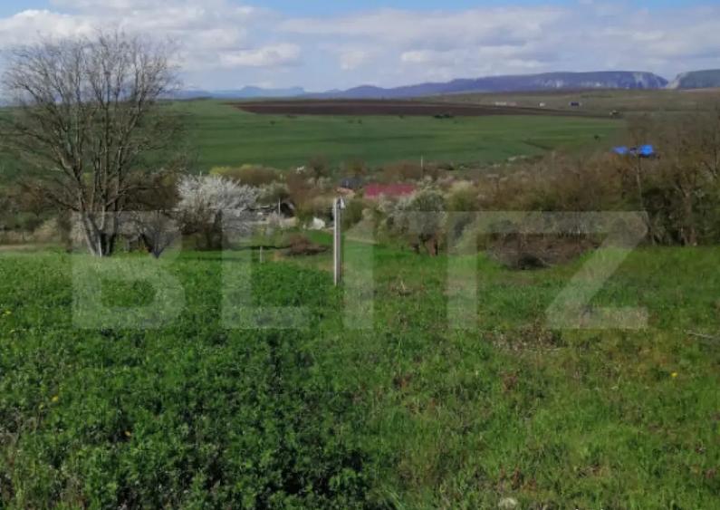 Teren intravilan, 1500 mp in Turda - 4